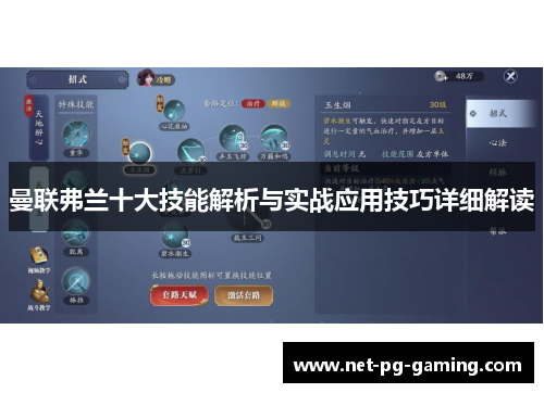 曼联弗兰十大技能解析与实战应用技巧详细解读