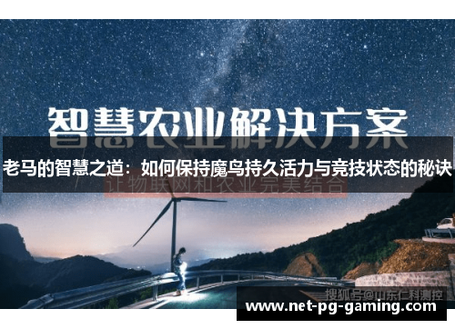 老马的智慧之道:如何保持魔鸟持久活力与竞技状态的秘诀 老马的智慧之道:如何保持魔鸟持久活力与竞技状态的秘诀